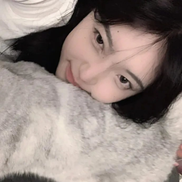 新猛龙过江